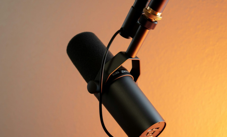 Podcasting in Politics: The New Frontlines of Internet Campaigning